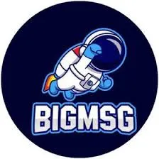 BIGMSG - Aplikasi Belanja Fashion Terbaik untuk Anda
